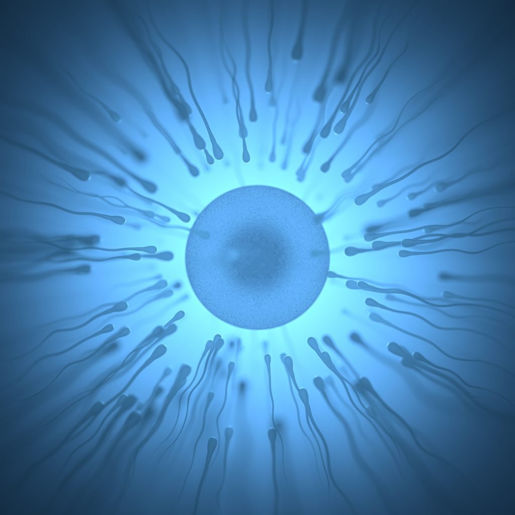 how to increase sperm count | Sperm count increase tablets